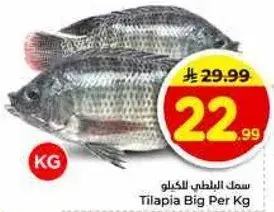 Tilapia Big Per Kg