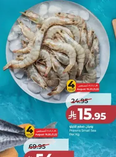 جمبري صغير بالكيلو