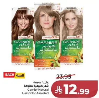 Garnier Natural Hair Color Assorted