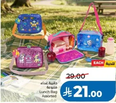 حقيبه غذاء متنوعه
