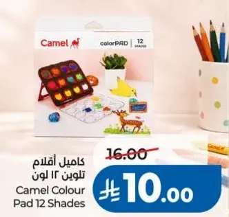 Camel Colour Pad 12 Shades