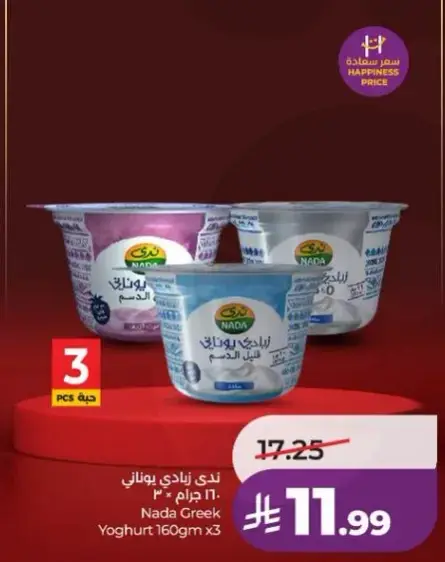 ندي زبادي يوناني 160 جرام × 3