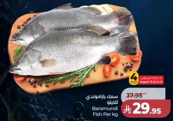 Baramundi Fish Per kg