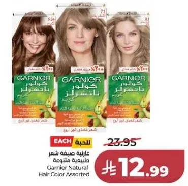 Garnier Natural Hair Color Assorted