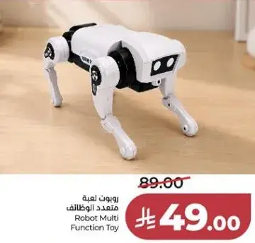Robot Multi Function Toy