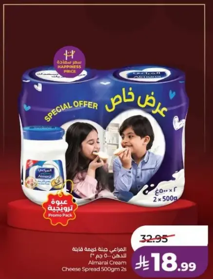 المراعي جبنه كريميه قابله للدهن 500 جرام × 2