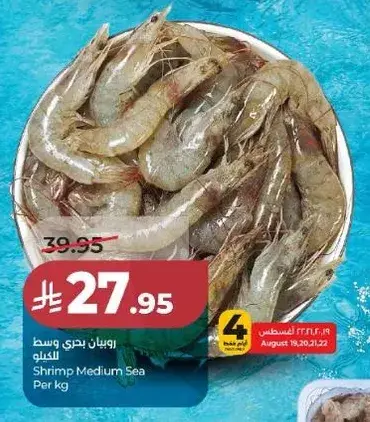 Shrimp Medium Sea Per kg