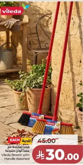 فيلايدا مكنسه مع عصا متنوعه