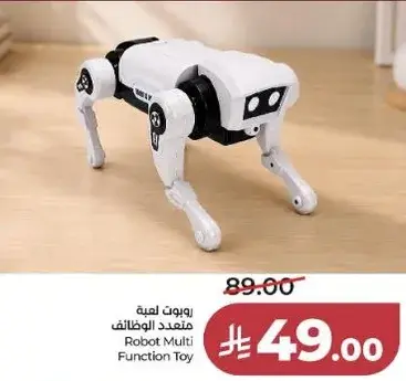 Robot Multi Function Toy.