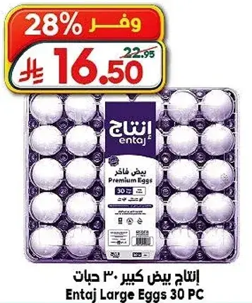 انتاج بيض كبير 30 حبه