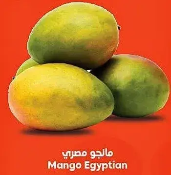 مانجو مصري