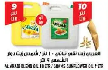 العربي زيت نباتي 10 لتر