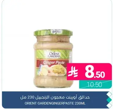 Orient Garden Ginger Paste 230ml