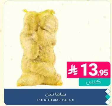 Potato Large Baladi