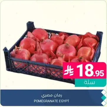 Pomegranate Egypt