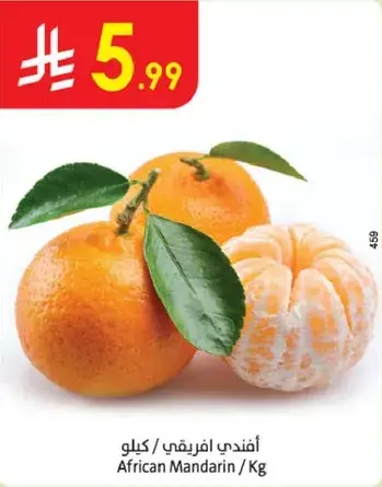 African Mandarin / Kg