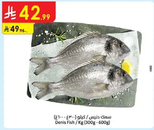 سمك دنيس / كيلو (300-600 غ)
