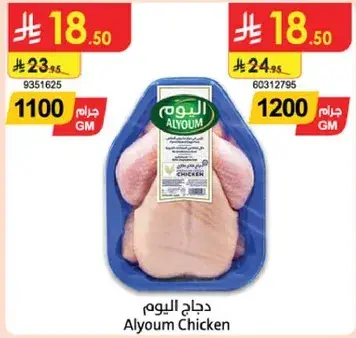 دجاج اليوم 1200 جم