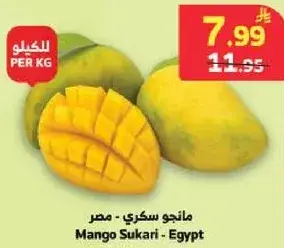 مانجو سكري - مصر