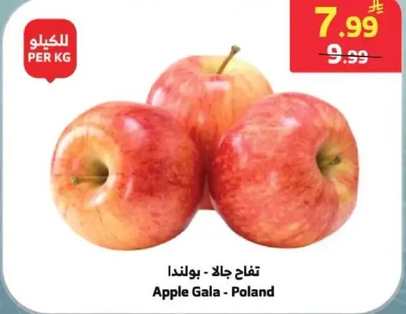 Apple Gala - Poland