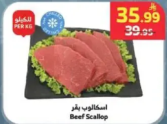 اسكالوب بقر