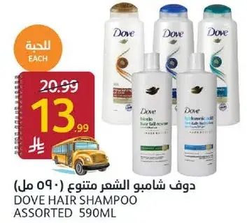 Dove Hair Shampoo Assorted 590ml