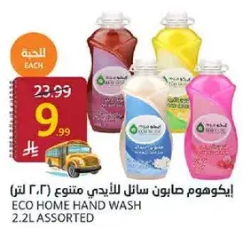 Eco Home Hand Wash 2.2L Assorted