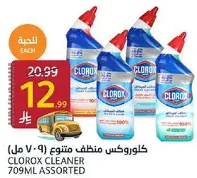 Clorox Cleaner Assorted 709ml