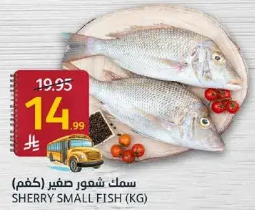 سمك شذري صغير (كغم)
