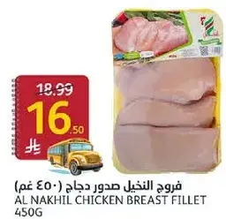 فرخ النخيل صدور دجاج 450 جرام
