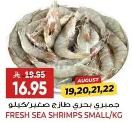 جمبري بحري طازج صغير/كيلو.