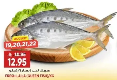 سمك ليلي (اسبانيا)