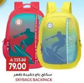 Skybags Backpack