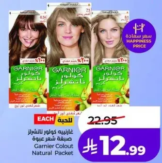 Garnier Hair Color Natural Packet