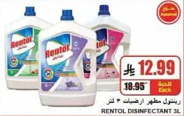 Rentol Disinfectant 3 Ltr
