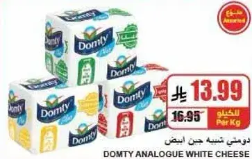 Domty Analogue White Cheese, Per Kg