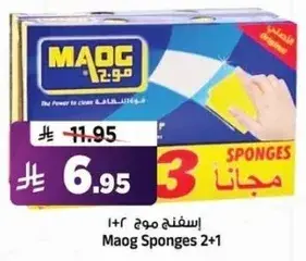 Maog Sponges 2+1