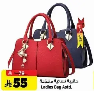 حقيبه نساييه متنوعه