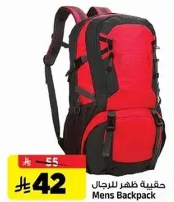 Mens Backpack