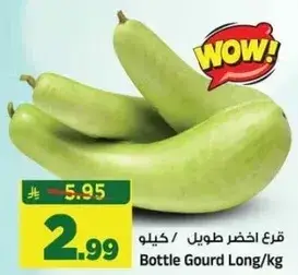 قرع اخضر طويل /كيلو