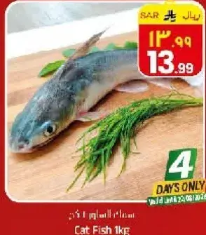 Cat Fish 1kg