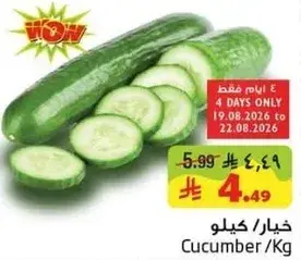 خيار / كيلو