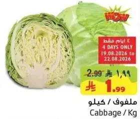 ملفوف / كيلو