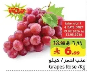 عنب احمر / كيلو