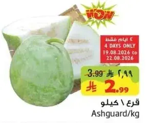 Ashguard / Kg