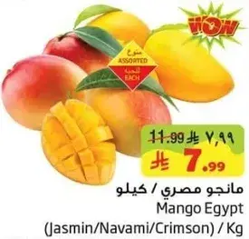 مانجو مصري / كيلو