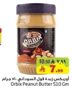Orbix Peanut Butter 510 gm