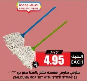 Saloumi mop set with stick STMP0123