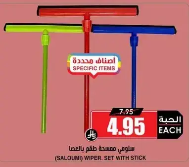 Saloumi wiper set with stick