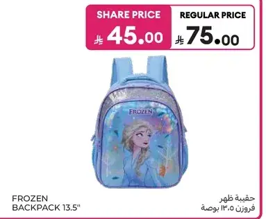 حقيبه ظهر فروزن 13.5 بوصه
